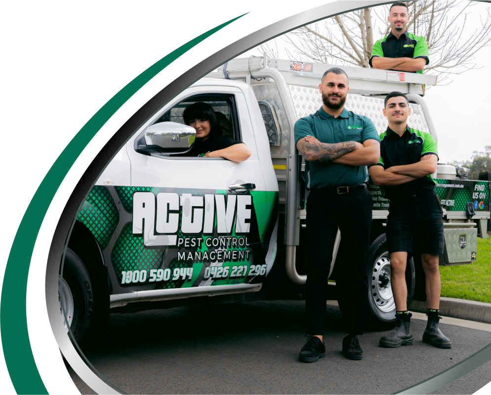 Residential Pest Control Sydney