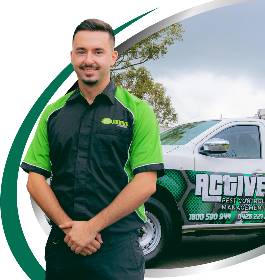 Cat Removal Sydney